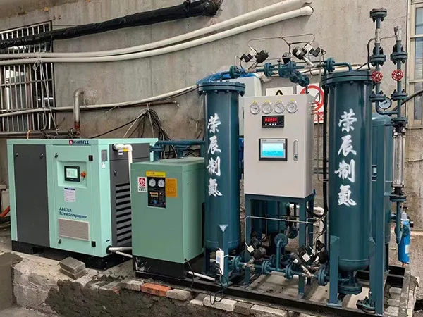 Nitrogen Generator for Food Packaging