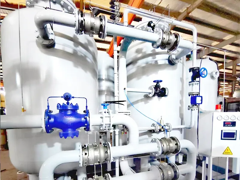 PSA Oxygen Generator