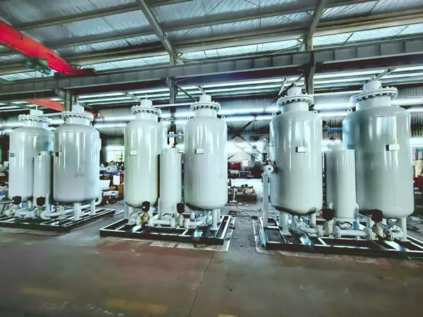 PSA Oxygen Generator