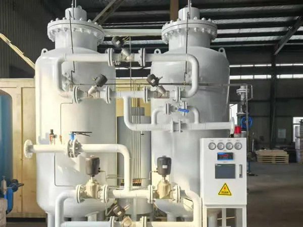 PSA Oxygen Generator