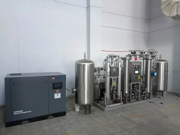 PSA Oxygen Generator